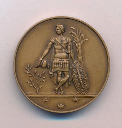 Лот: 8378659. Фото: 1. Швеция Медаль королевская военная... Сувенирные