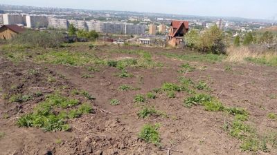 Лот: 15817500. Фото: 1. Продам земельный участок 20 соток. Земельные участки