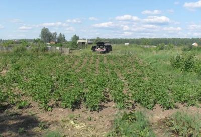 Лот: 3893733. Фото: 1. Продам участок в Сосновоборске. Земельные участки