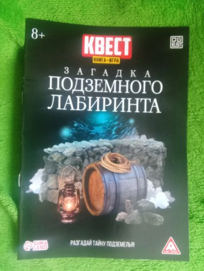 Лот: 21108167. Фото: 1. Квест, книга-игра, загадка подземного... Досуг и творчество