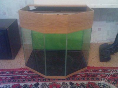 Лот: 565202. Фото: 1. аквариум. Аквариумы, террариумы