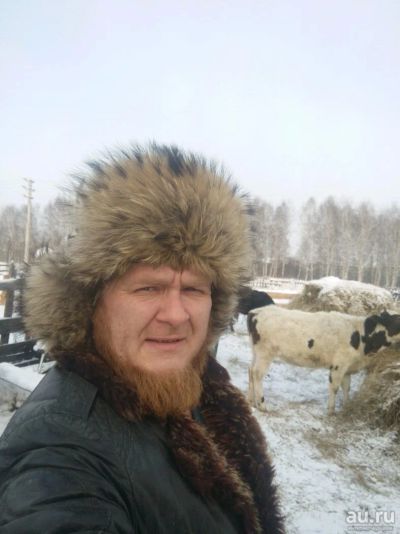 Лот: 10176661. Фото: 1. Продам коров. Остальные животные
