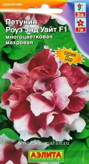 Лот: 3911151. Фото: 1. Петуния многоцветковая, махровая... Другое (семена, рассада, садовые растения)