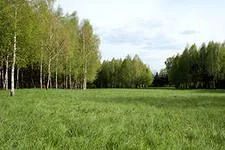 Лот: 5277534. Фото: 1. ЛПХ 3.8 га Сосновоборск. Земельные участки