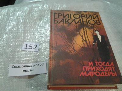 Лот: 6588888. Фото: 1. (1092374) И тогда приходят мародеры... Художественная