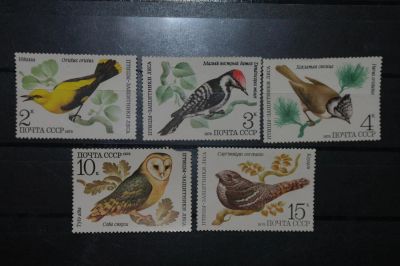 Лот: 4401506. Фото: 1. 1979 Птицы-защитники леса (4933-4937... Марки