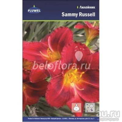 Лот: 15916168. Фото: 1. Лилейник Сэмми Расселл, Sammy... Садовые цветы