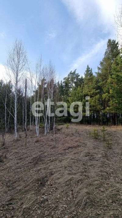 Лот: 25290940. Фото: 1. участок , Красноярск Красноярск... Земельные участки