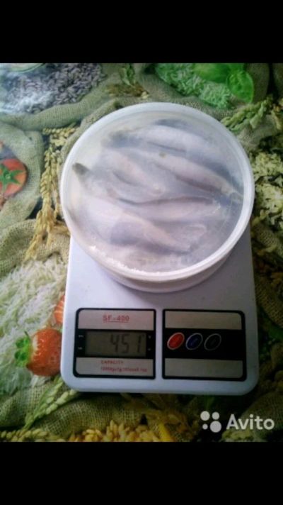 Лот: 11756505. Фото: 1. Тугун. Икра, рыба, морепродукты