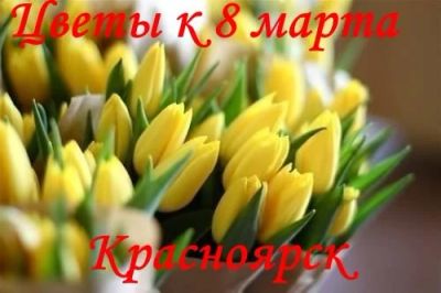 Лот: 5154157. Фото: 1. Букет тюльпаны 51 шт. Шикарный... Красноярск