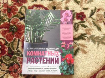 Лот: 7867350. Фото: 1. Иллюстрированная энциклопедия... Энциклопедии