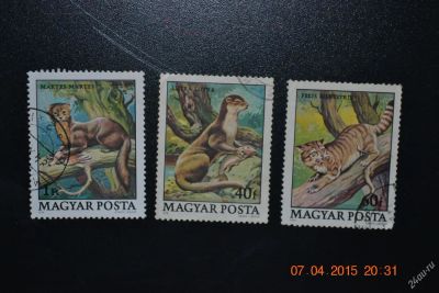 Лот: 6724017. Фото: 1. Марки Венгрии 1979г. Мелкие хищники... Марки