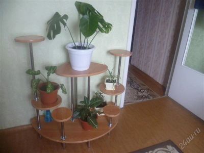 Лот: 1805264. Фото: 1. Полка для цветов. Другое (мебель)