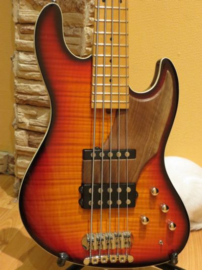 Лот: 17278093. Фото: 1. Bacchus 5-str, S+H (Jass Bass... Гитары