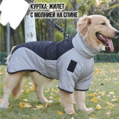Лот: 20870508. Фото: 1. Комбинезон для собак. Ошейники, одежда, конное снаряжение