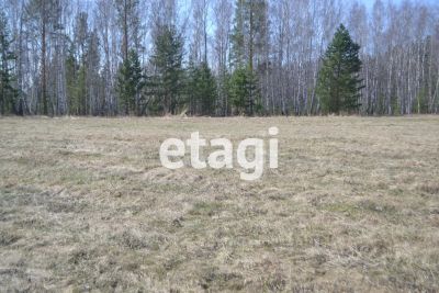 Лот: 25293731. Фото: 1. участок , деревня Ясная Поляна... Земельные участки