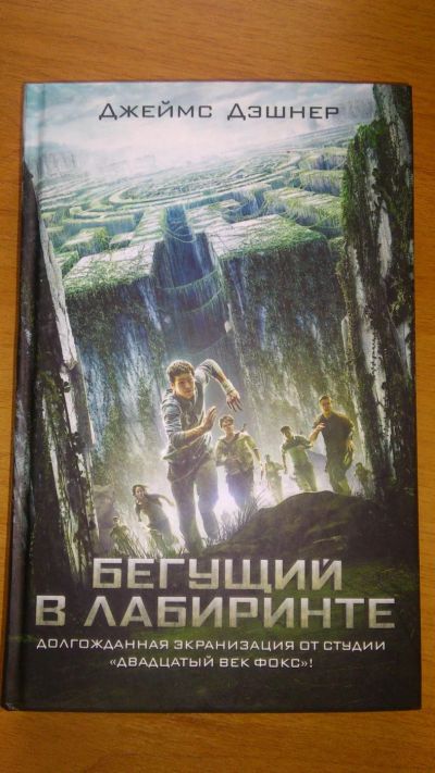 Лот: 7759661. Фото: 1. Бегущий в лабиринте. Художественная