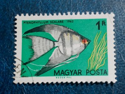 Лот: 25349896. Фото: 1. - Марки для Вашей коллекции. лот... Марки