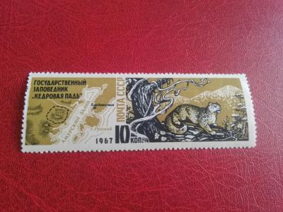 Лот: 19626129. Фото: 1. 1967 г, Заповедник "Кедровая Падь... Марки