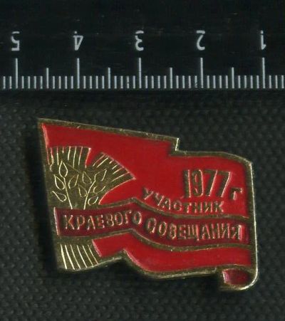Лот: 16384503. Фото: 1. ( № 5717 ) значки, Участник Краевого... Сувенирные