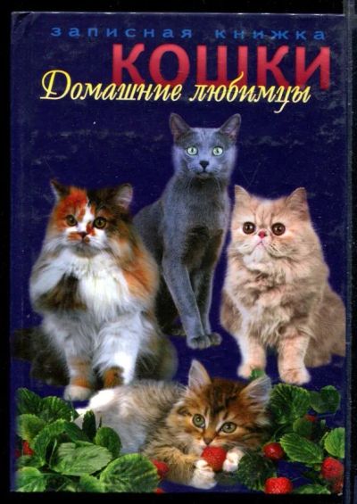 Лот: 23429768. Фото: 1. Домашние любимцы - кошки. Домашние животные