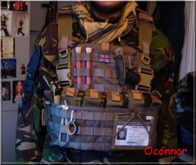 Лот: 4727349. Фото: 1. Бронежилет Wasatch расцветка multicam... Пейнтбол, страйкбол