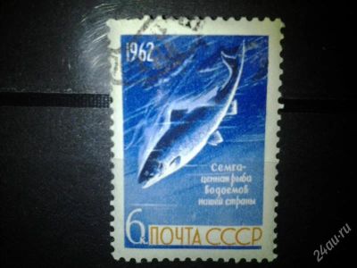 Лот: 2554298. Фото: 1. 1962 Рыбы. Семга (2646). Марки
