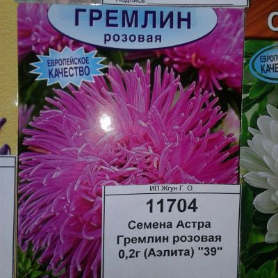 Лот: 9111192. Фото: 1. Семена / цветы / Астра / Гремлин... Садовые цветы