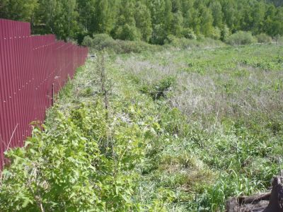 Лот: 7533588. Фото: 1. Продам участок 20 сот., земли... Земельные участки