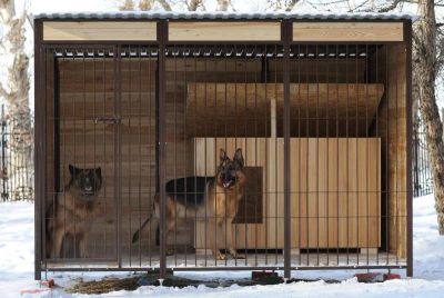 Лот: 3625635. Фото: 1. Вольер для собаки. Другое (растения и животные)