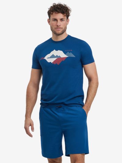 Лот: 25534380. Фото: 1. Мужская спортивная футболка FALKE... Топы, майки