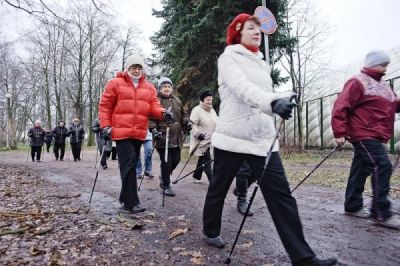 Лот: 4132783. Фото: 1. ОПТОМ профессиональные палки для... Палки