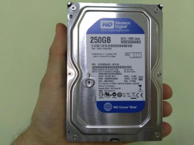 Лот: 11445685. Фото: 1. Жёсткий диск hdd WD2500AAKX-001CA0... Жёсткие диски (HDD)