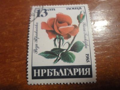 Лот: 17148174. Фото: 1. Марка для Вашей коллекции. №24216. Марки