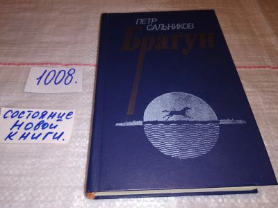 Лот: 15423190. Фото: 1. Сальников П. Г., Братун. Повести... Художественная