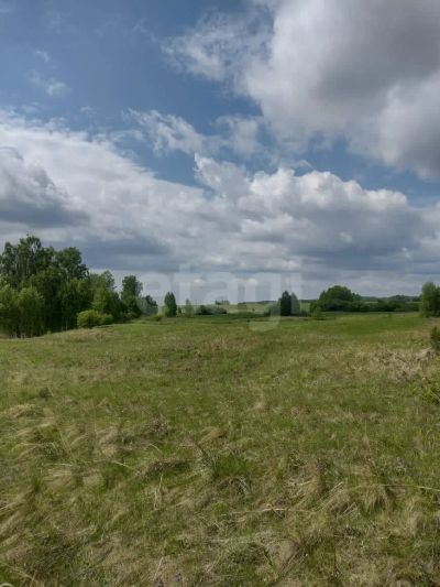 Лот: 25429672. Фото: 1. участок , товарищество собственников... Земельные участки