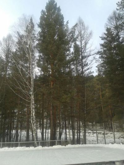 Лот: 7000220. Фото: 1. продам участок. Земельные участки