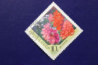 Лот: 6856018. Фото: 1. Почтовая марка №4091 в коллекцию. Марки