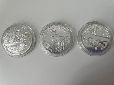 Лот: 19084853. Фото: 1. 1 Рубль Красная книга 2005 год... Россия после 1991 года