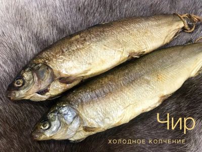 Лот: 14341252. Фото: 1. Чир холодное копчение. Икра, рыба, морепродукты