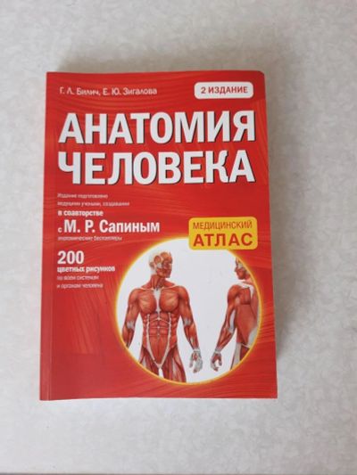 Лот: 18025349. Фото: 1. Анатомия человека. Популярная и народная медицина