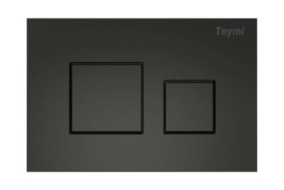 Лот: 24999675. Фото: 1. Клавиша с двойным смывом TEYMI... Унитазы, биде