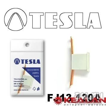 Лот: 8599253. Фото: 1. TESLA FJ13 120A предохранитель... Расходные материалы
