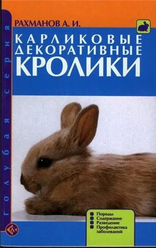 Лот: 3356973. Фото: 1. Карликовые декоративные кролики... Другое (животные и уход)