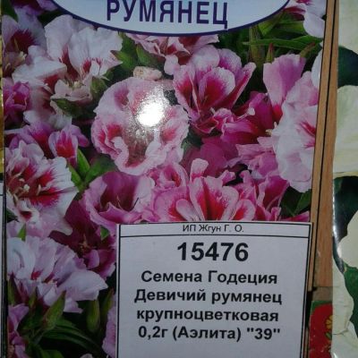 Лот: 9118693. Фото: 1. Семена / цветы / Годеция / Девичий... Садовые цветы