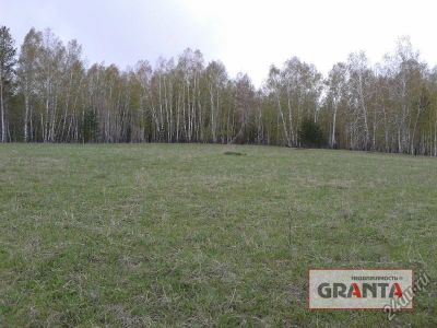 Лот: 6114020. Фото: 1. земельный участок в плоское емельяновский... Земельные участки