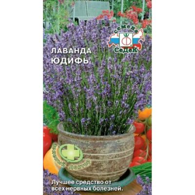 Лот: 24768241. Фото: 1. Семена Лаванда, Юдифь, 0.05 г... Другое (семена, рассада, садовые растения)