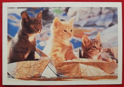 Лот: 22051986. Фото: 1. (№4744) календарик "Котята" 1994... Календари