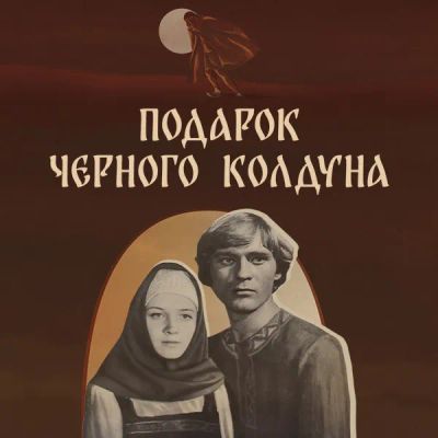 Лот: 24810501. Фото: 1. Подарок черного колдуна. Видеозаписи, фильмы
