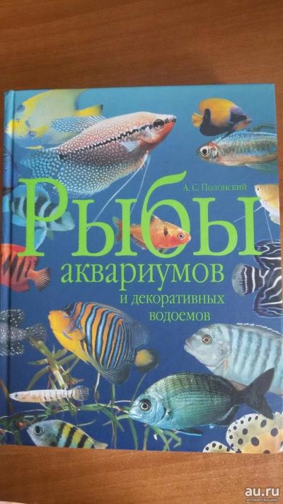 Лот: 13760453. Фото: 1. Книга "Рыбы аквариумов". Домашние животные